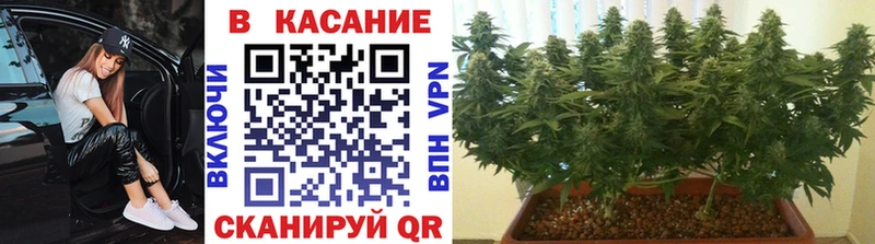 КЕТАМИН Глазов