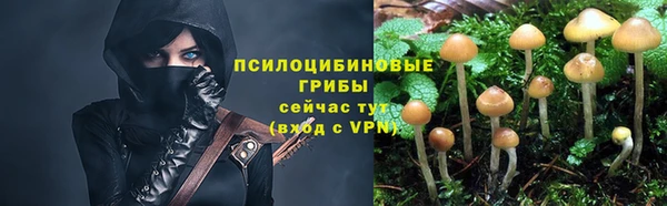 мет Армянск