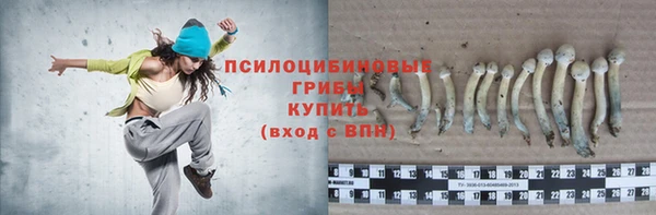 прущий лед Арсеньев