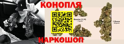 МДПВ Прокопьевск