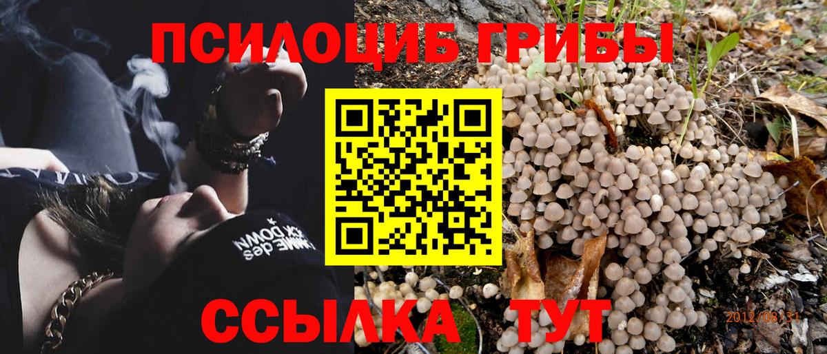 Глазов  купить закладку  Вход с VPN  Псилоцибиновые грибы Magic Shrooms  Псилоцибиновые грибы GOLDEN TEACHER 